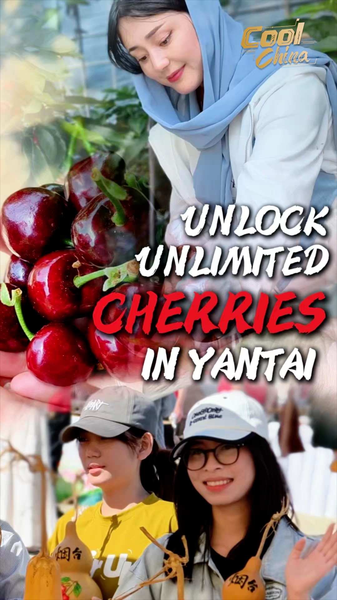 Experiencing Yantai's cherry season and rural vitality