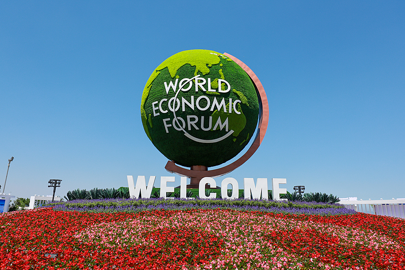 The theme flower bed outside the Dalian International Conference Center was particularly eye-catching, June 22, 2026. /CFP