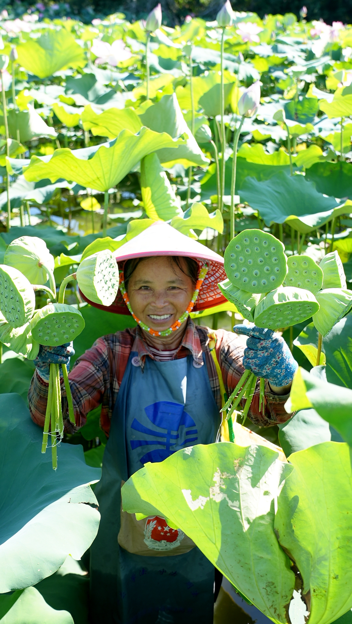 A villager harvests lotus pods at a pond in Jiatang Village in Tunchang County, Hainan Province. /Photo provided to CGTN