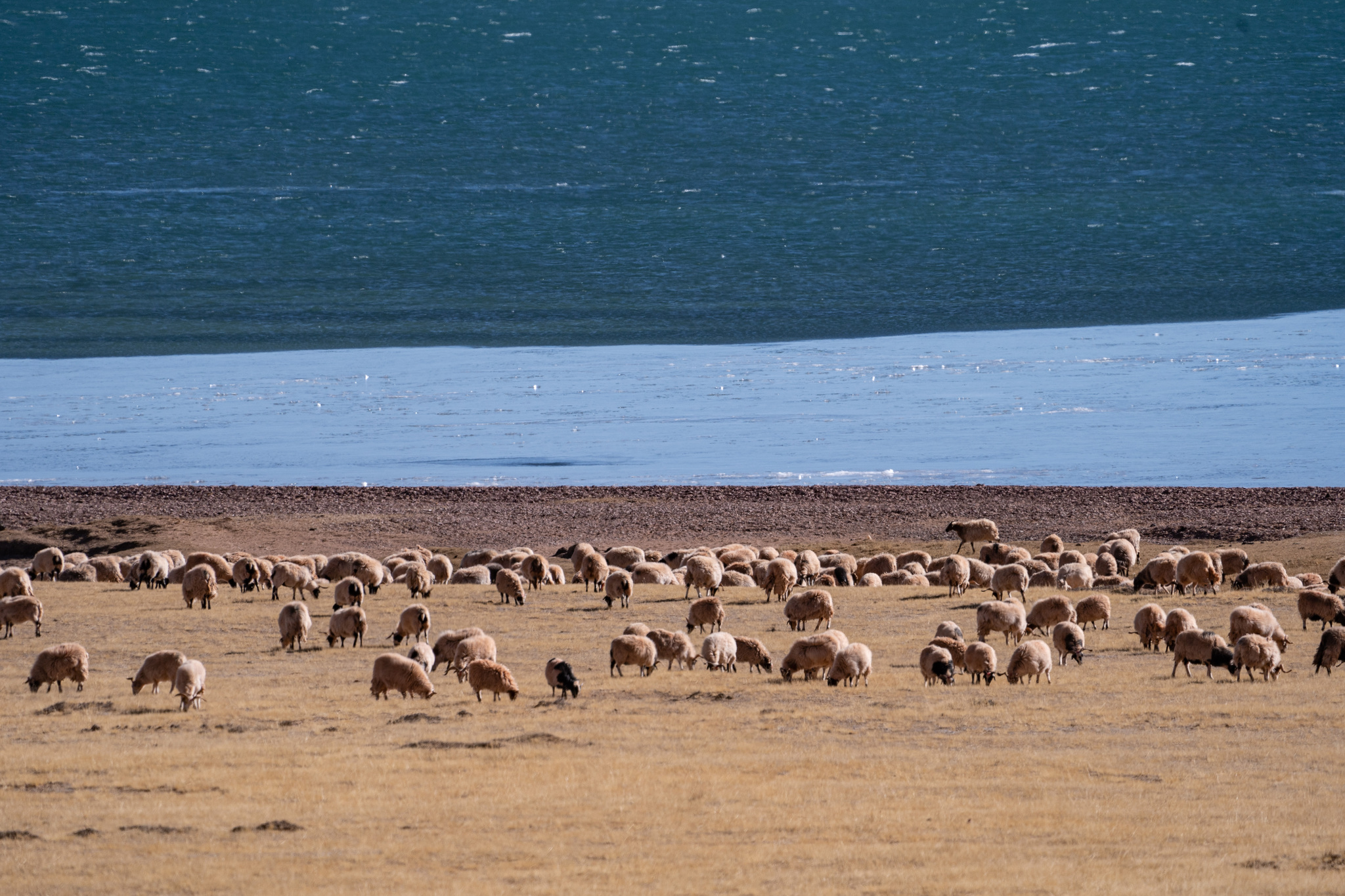 A file photo shows Cona Lake, which is skirted by the Qinghai-Xizang Railway in Amdo County, Xizang Autonomous Region. /VCG