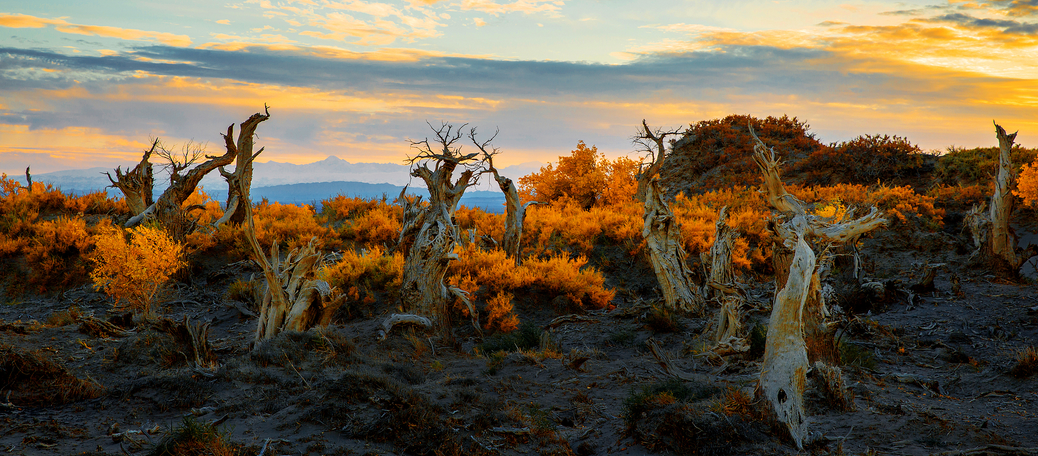 Hami landscapes/CFP Photo