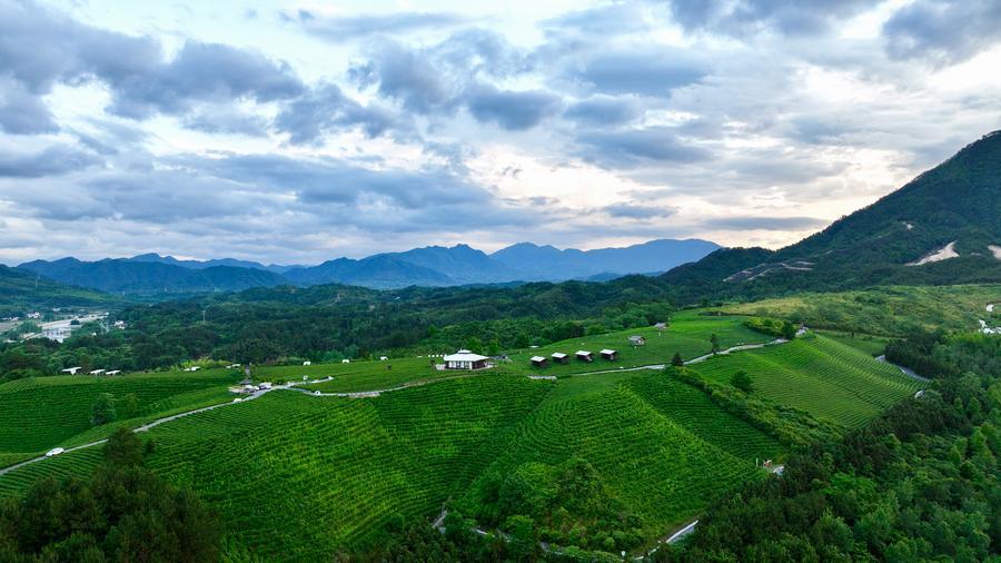 Rural roads connect fields and villages in Pengyang County, Guyuan City, northwest China's Ningxia Hui Autonomous Region, July 25, 2024. /Xinhua