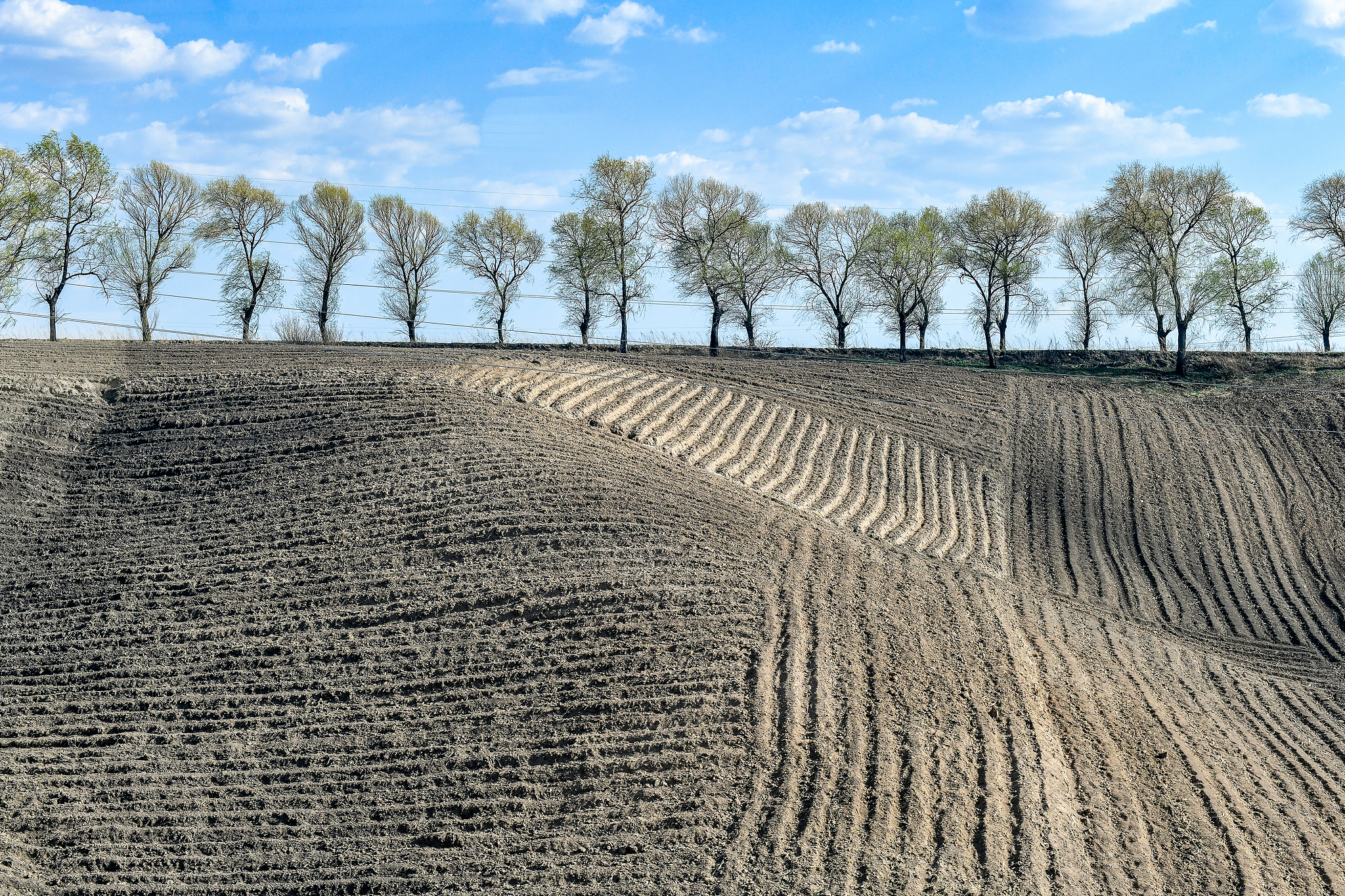 Black soil of northeastern China's Heilongjiang Province, May 9, 2026. /VCG