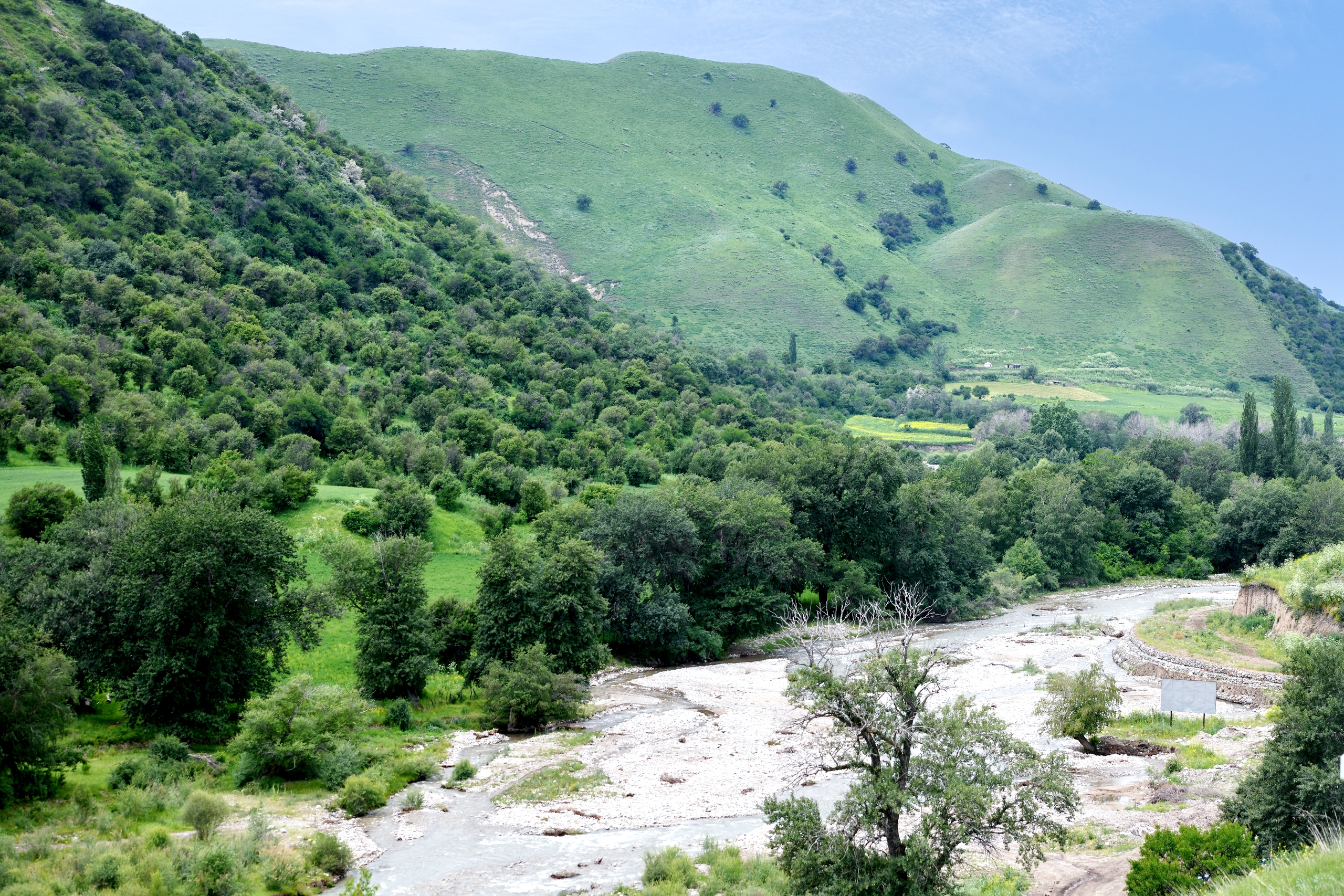 Summer scenery is seen in Kuerdening Scenic Area of Ili, northwest China's Xinjiang. /IC