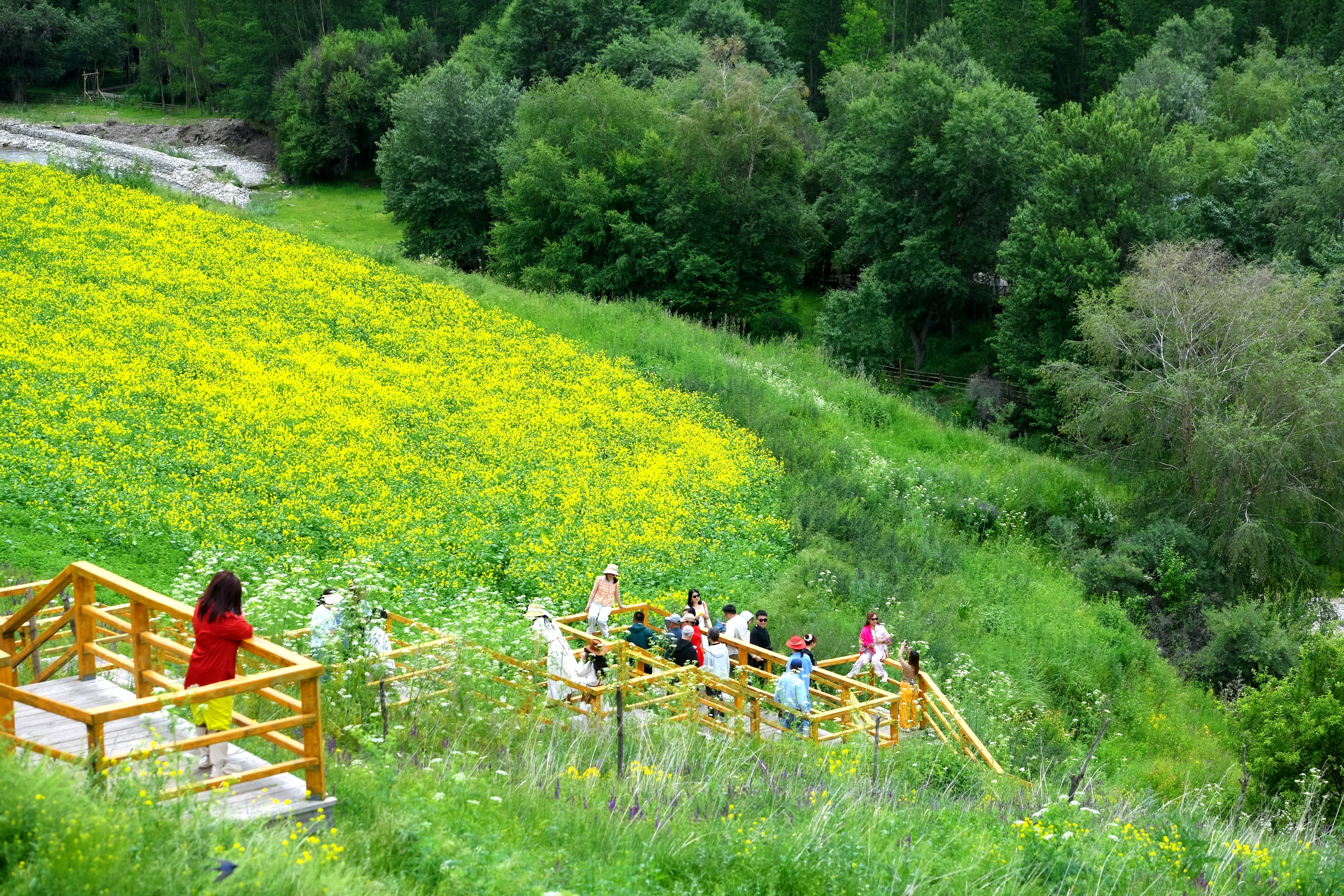 Kuerdening Scenic Area boasts mountains, forests and grasslands, making it a popular travel destination. /IC