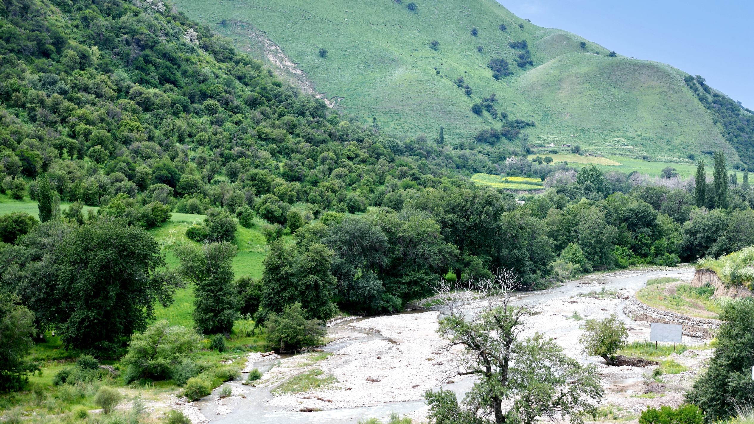 Summer sanctuary: Xinjiang's Kuerdening Scenic Area welcomes visitors
