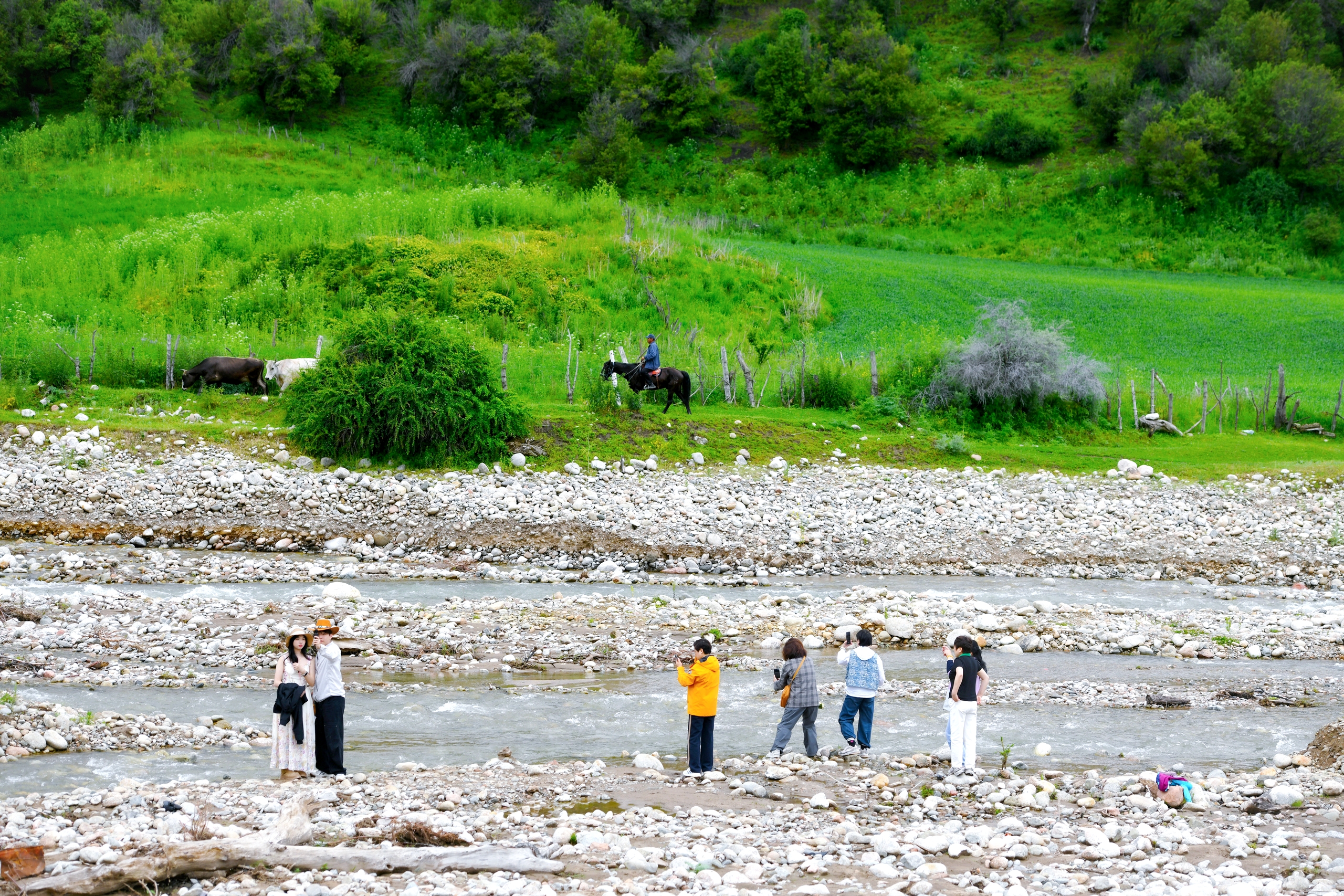 Kuerdening Scenic Area boasts mountains, forests and grasslands, making it a popular travel destination. /IC