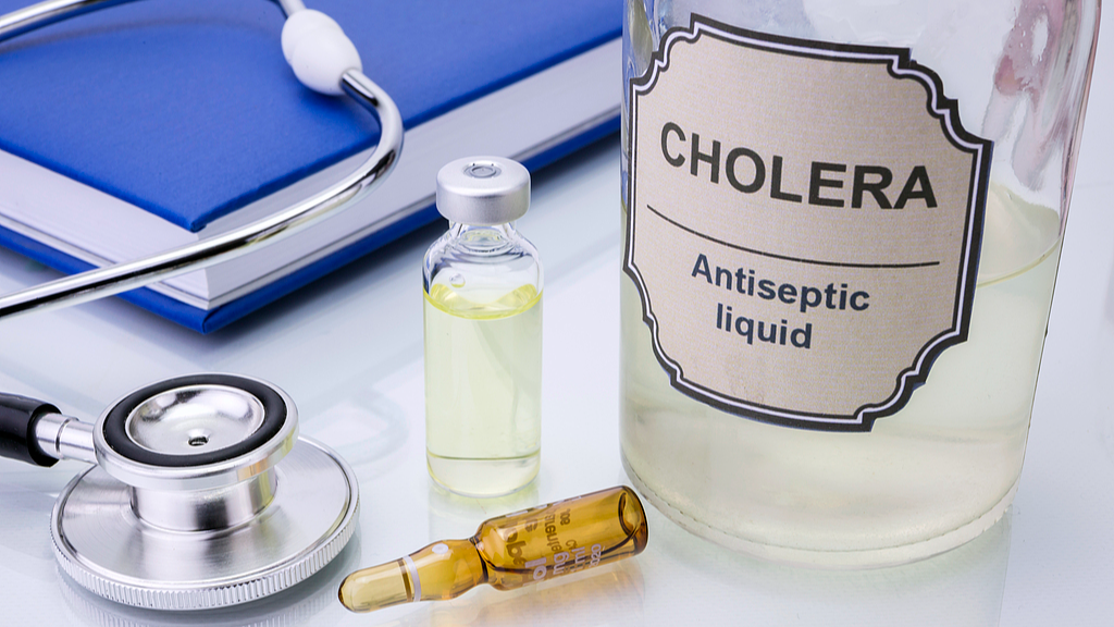 Cholera outbreak kills 24 in Central African Republic