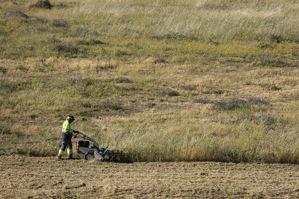 A landscape worker in Alcorcón, near Madrid, Spain, as an early heatwave hits Europe on May 23, 2026. /VCG
