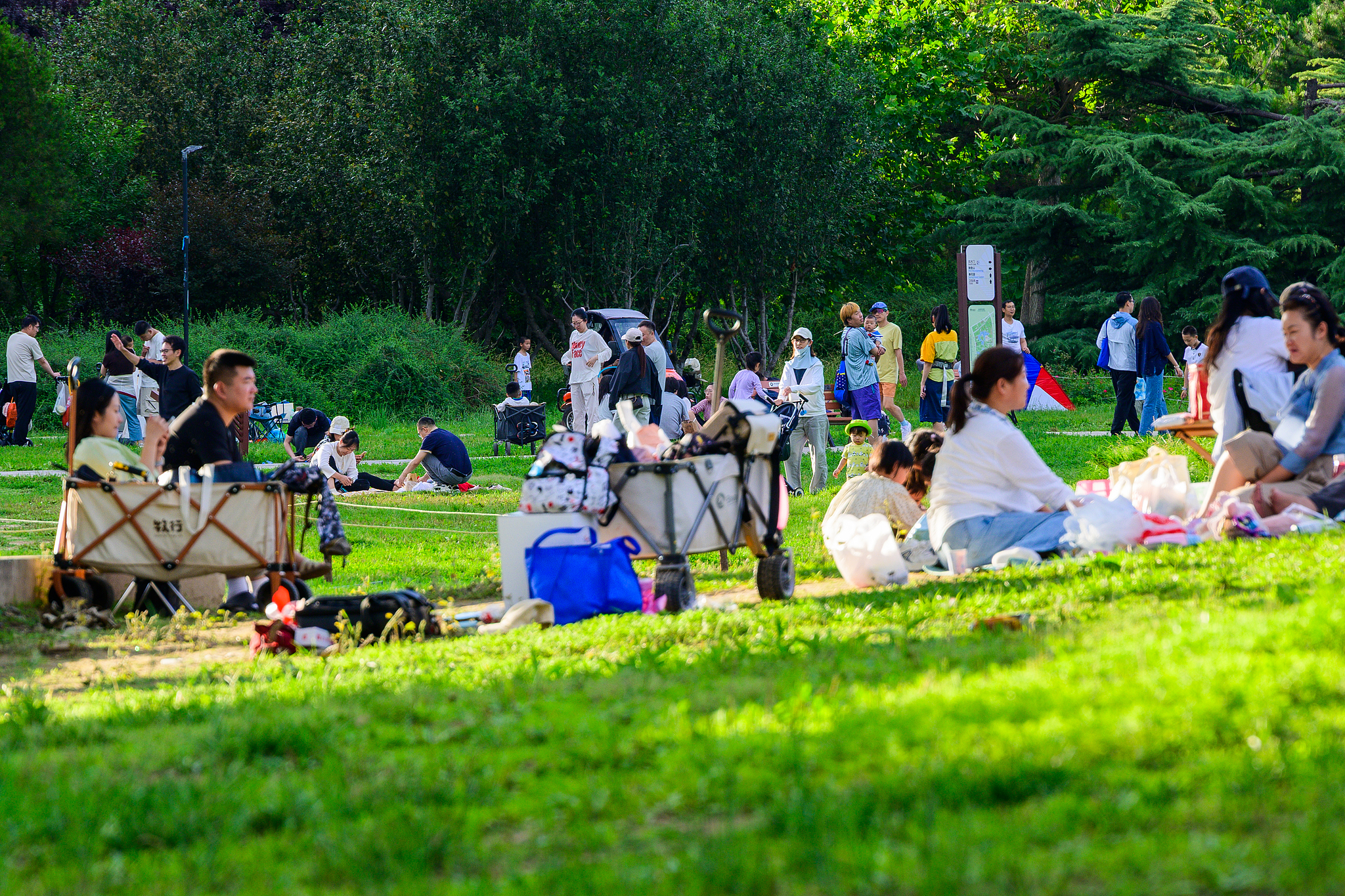 Citizens relax and enjoy picnics on the lawn of Chaoyang Park in Beijing, June 7, 2026. /VCG