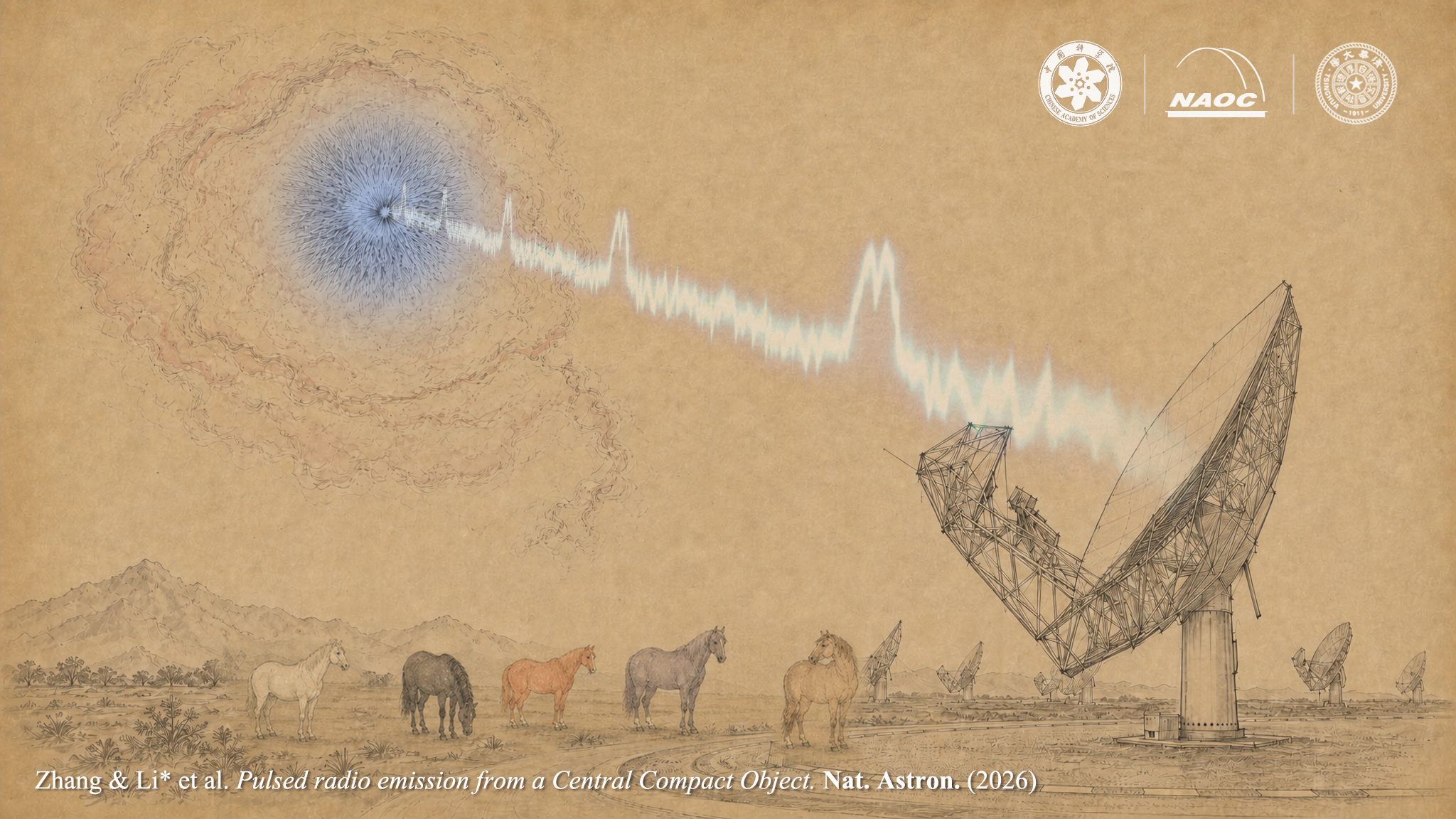 An illustration of pulsed radio emission from a central compact object. /National Astronomical Observatories of the Chinese Academy of Sciences