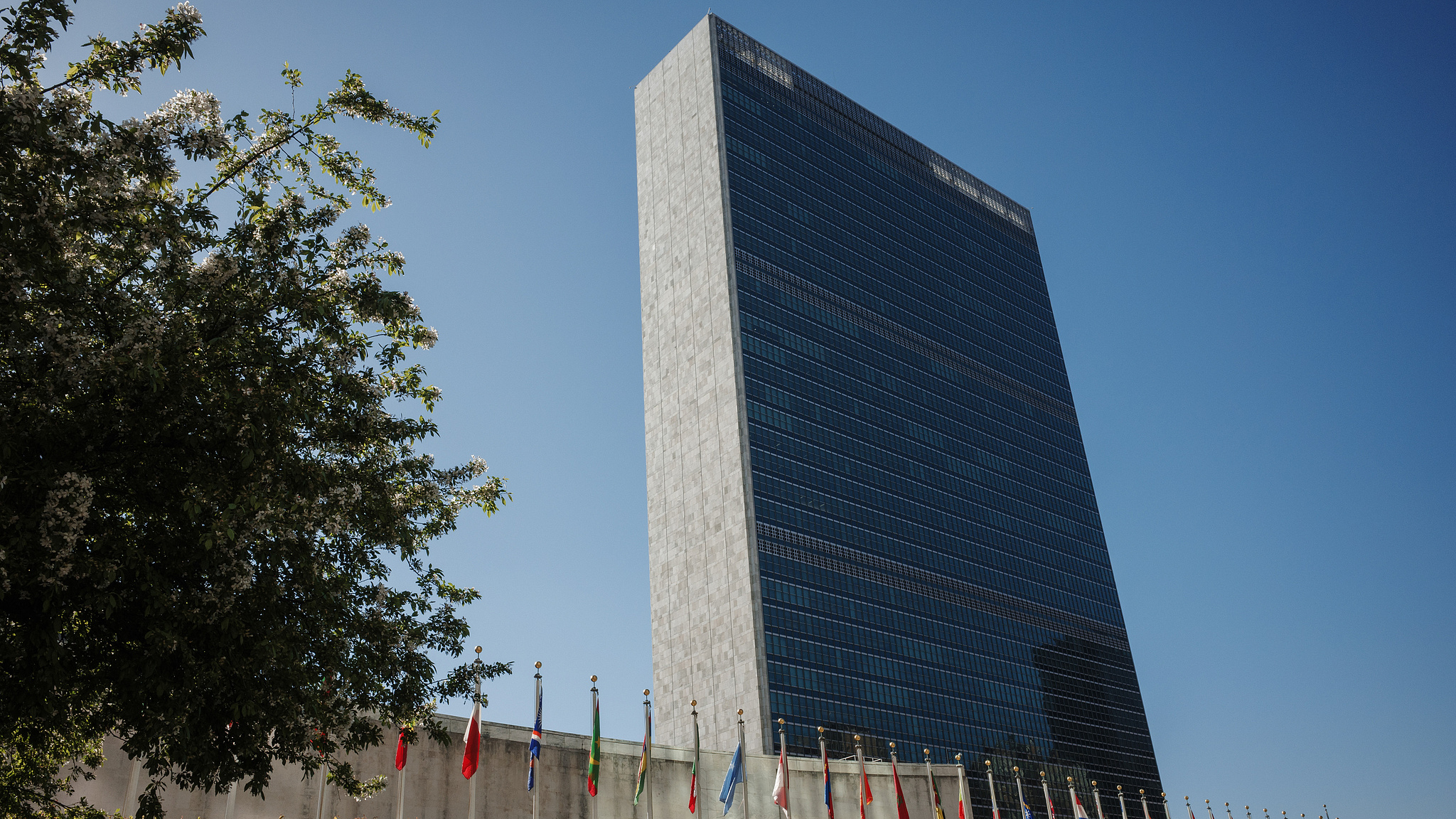Wang Yi meets Espinosa – candidate for next UN secretary-general