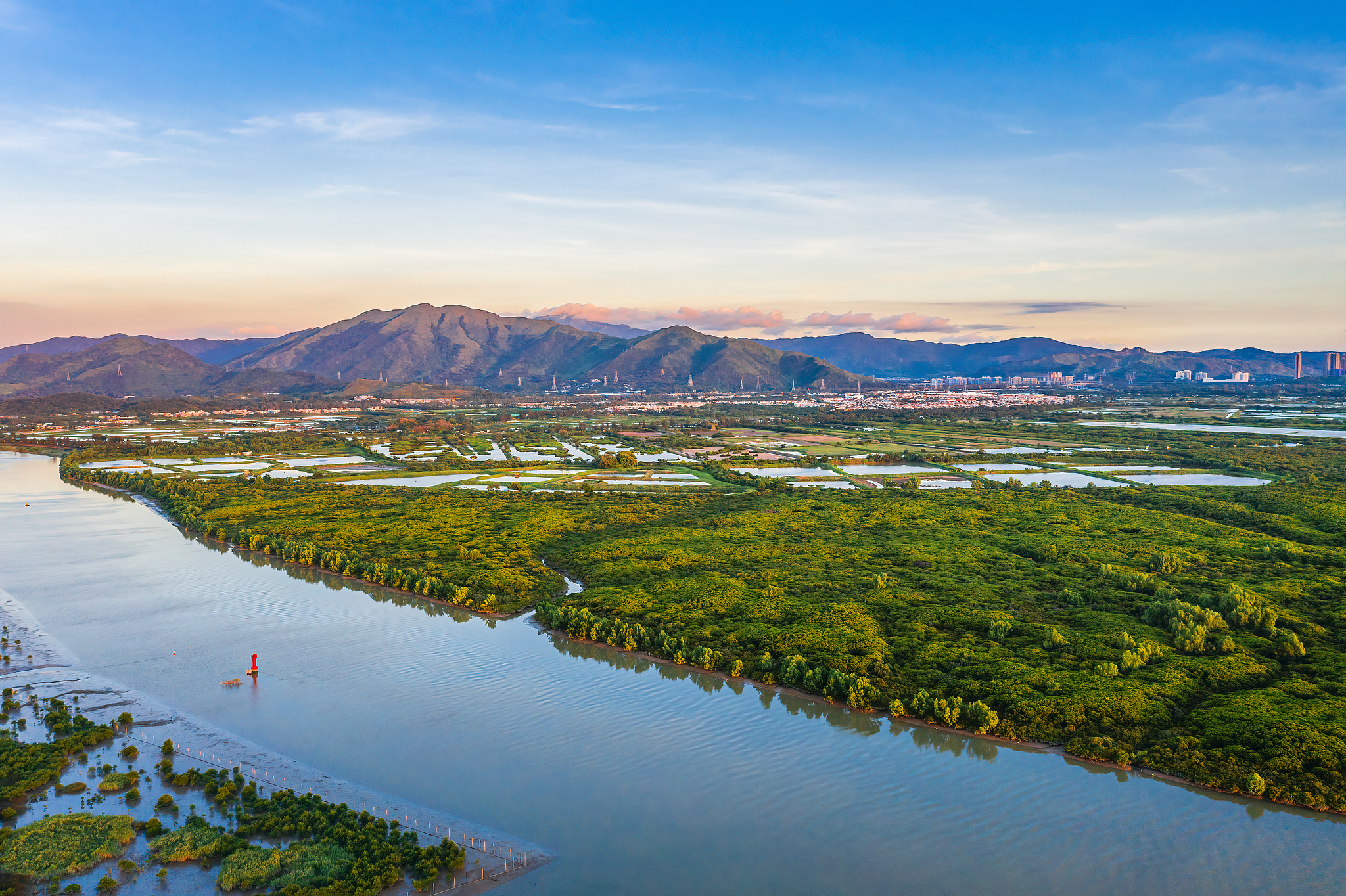 Mai Po Nature Reserve, Hong Kong SAR, China. /VCG