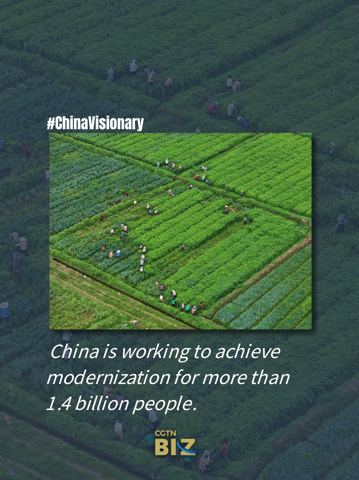 China Visionary: China working to achieve modernization for more than 1.4 billion people