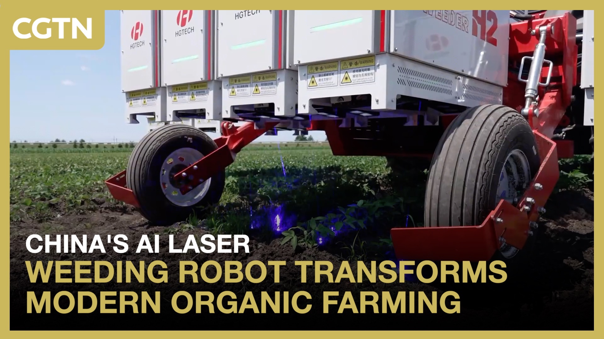 China's AI laser weeding robot transforms modern organic farming