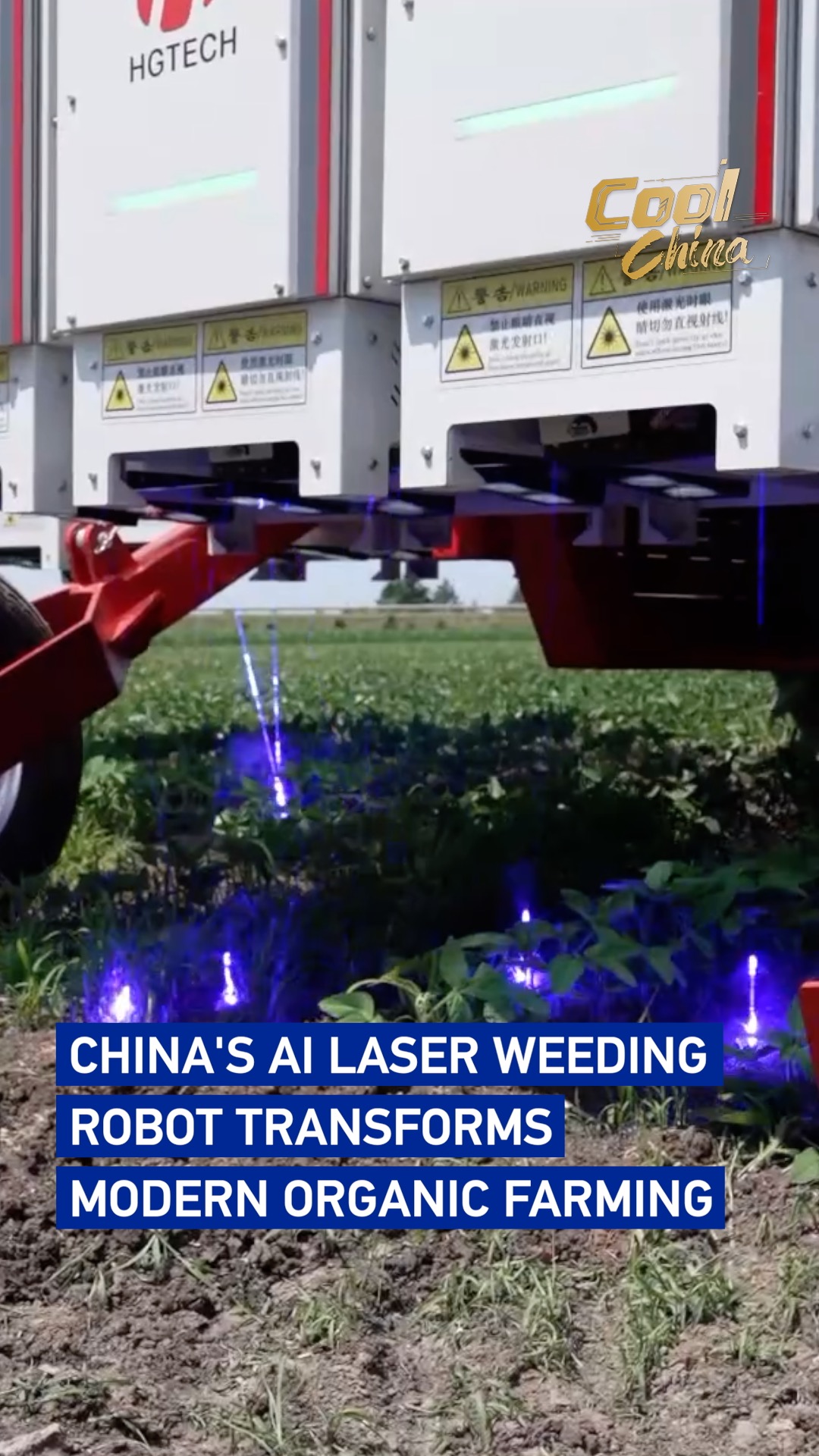 China's AI laser weeding robot transforms modern organic farming