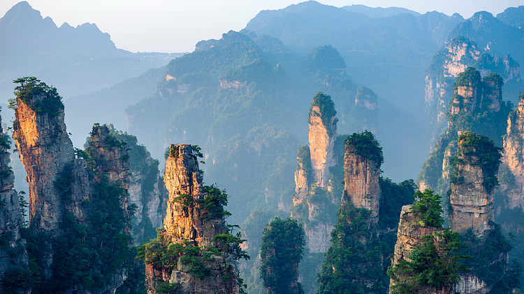 Live: Explore China's Zhangjiajie, a UNESCO World Heritage Site