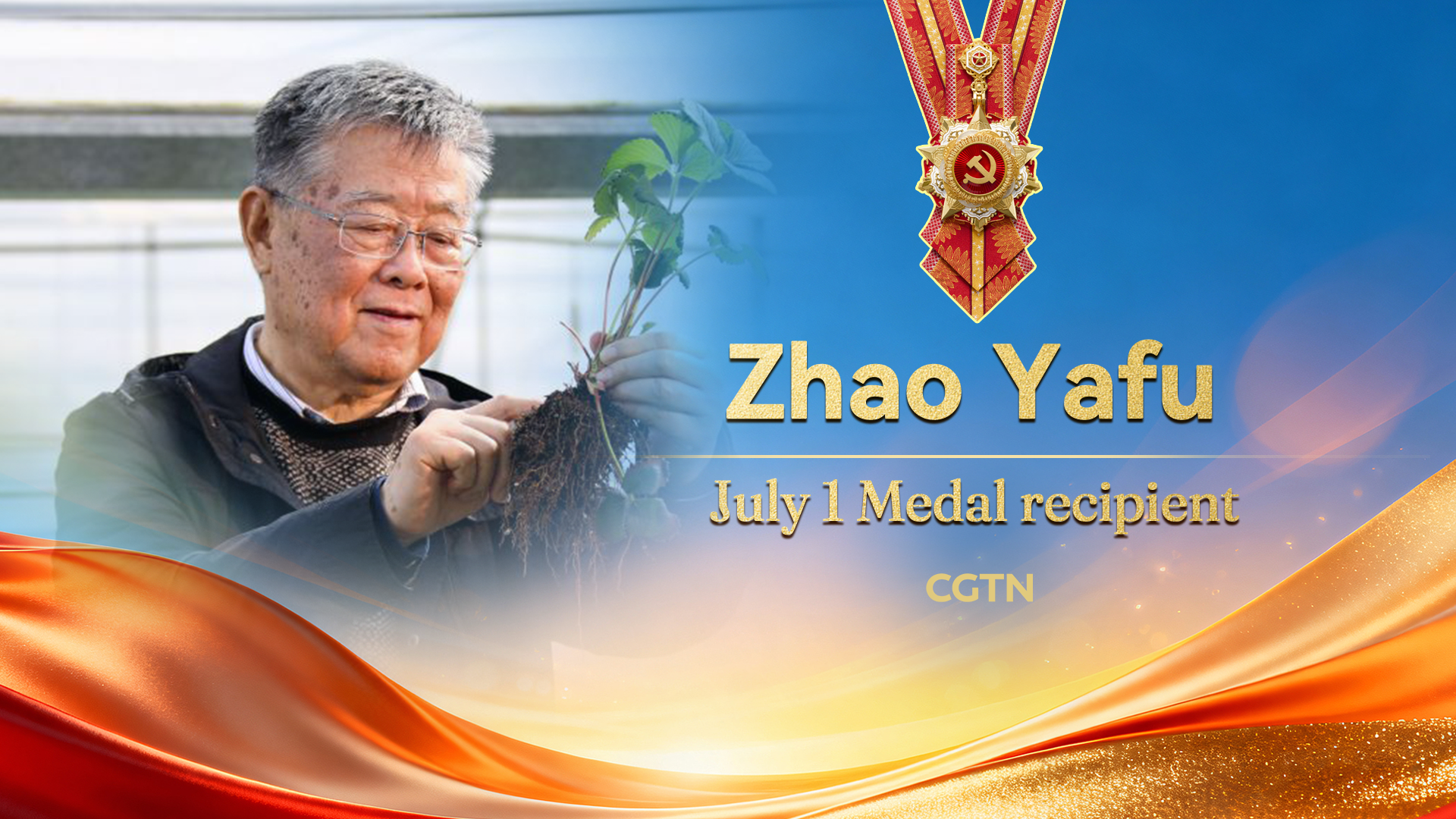 Zhao Yafu: Agricultural expert still working in the fields at 85