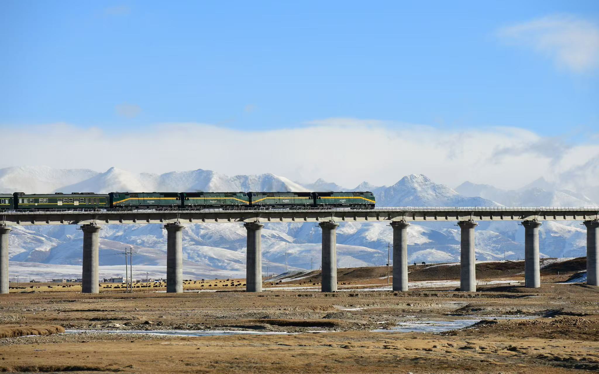 A train traverses a bridge on a high-altitude section of the Qinghai-Xizang Railway in Lhasa's Damxung County in Xizang Autonomous Region on June 30, 2026. /VCG