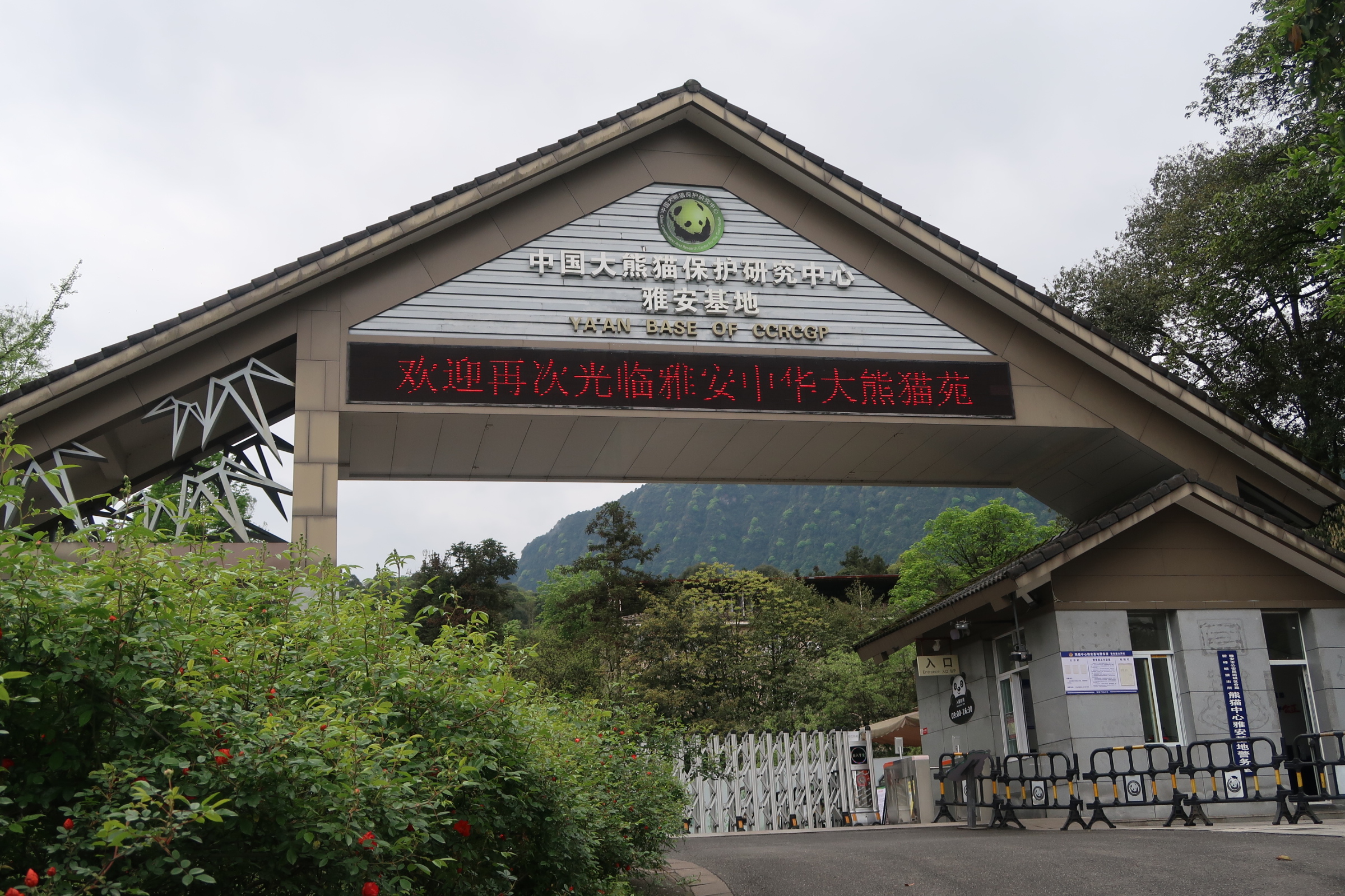 Ya'an: A Model from Rescue to Ecological Restoration