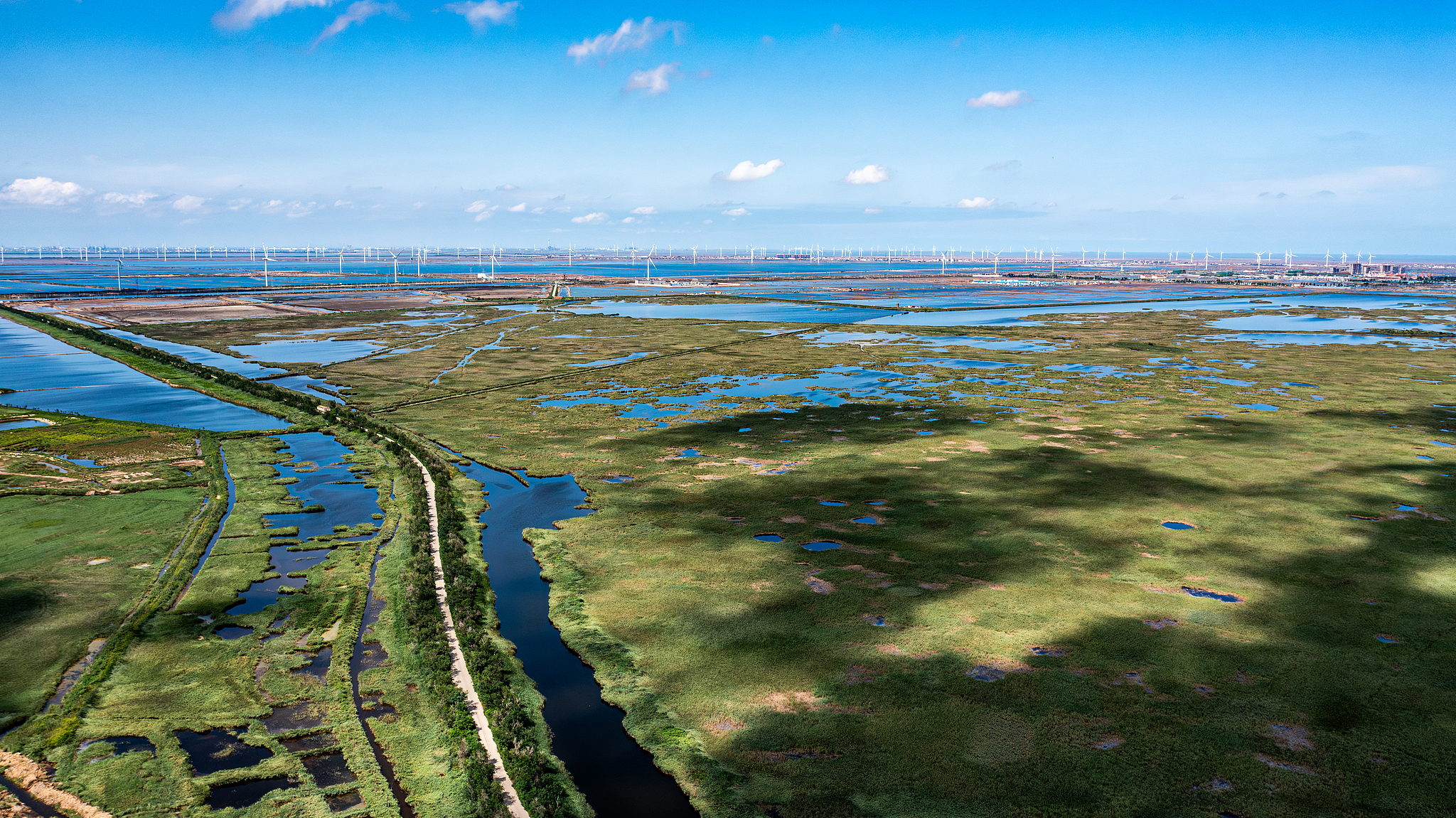 The Nandagang Wetland and Bird Nature Reserve in Cangzhou, Hebei Province, north China, August 8, 2020. /VCG