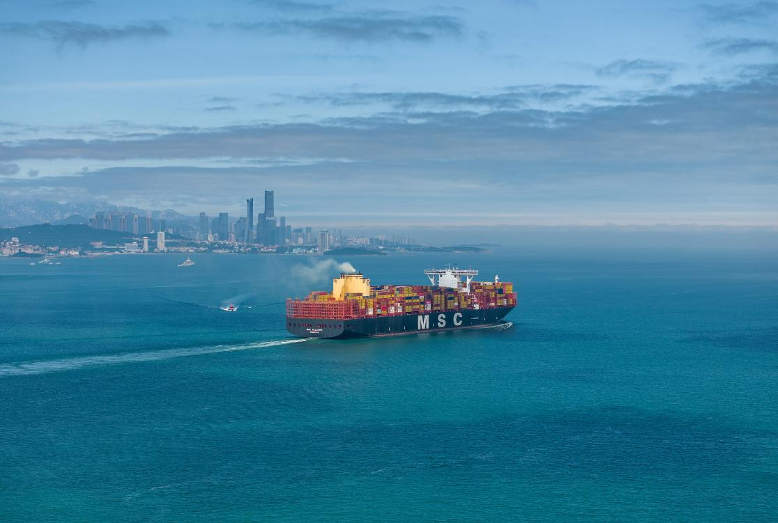 Large cargo vessels arrive at and depart from Qingdao Port in Qingdao, Shandong Province, China, June 3, 2026. /VCG