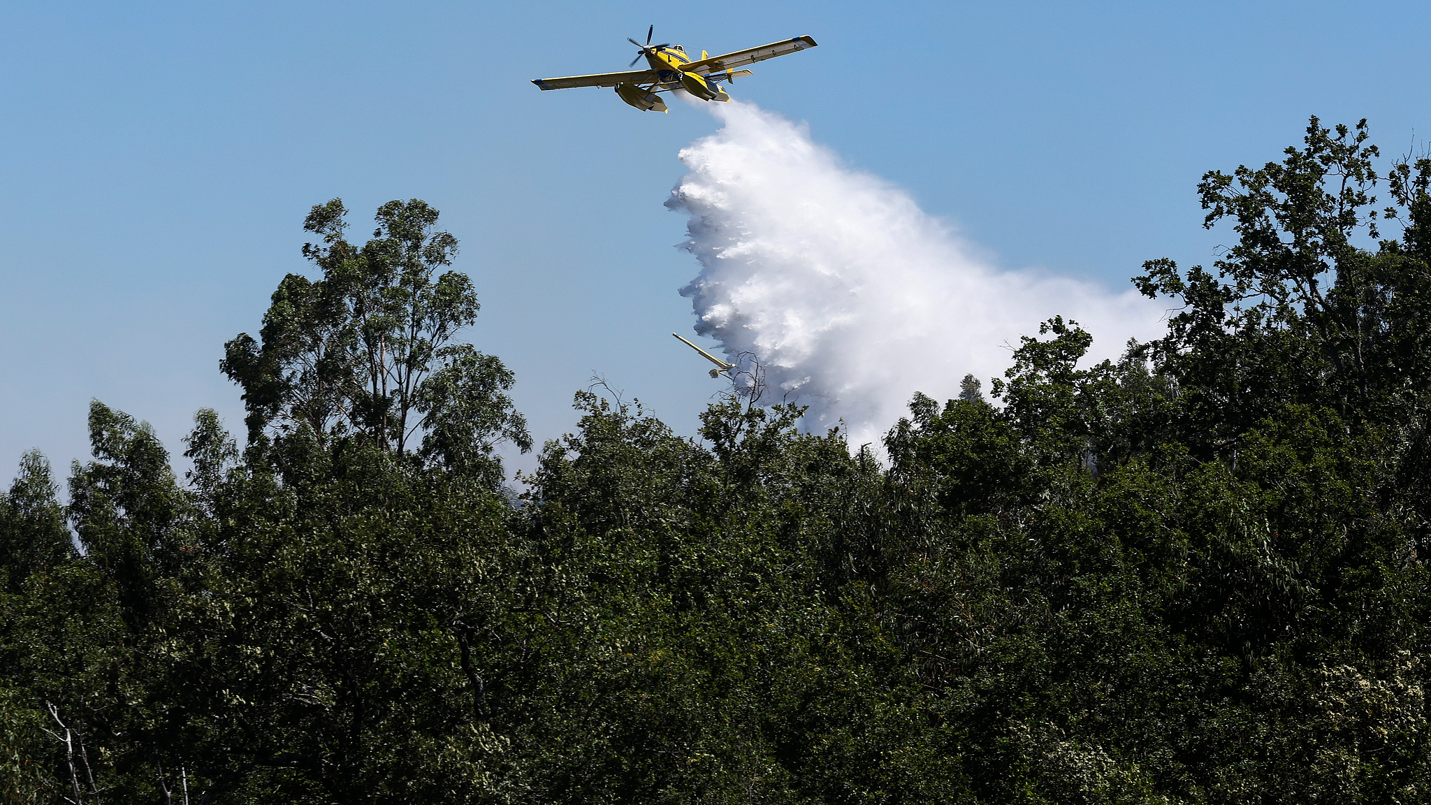 Portugal declares alert as extreme heat raises wildfire risk