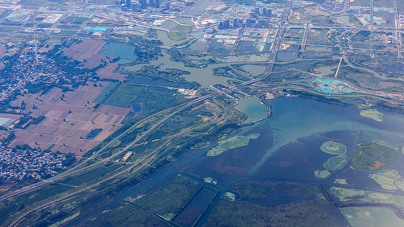 Drone view of wetland landscape in Xiongan, north China's Hebei Province, June 26, 2026. /VCG