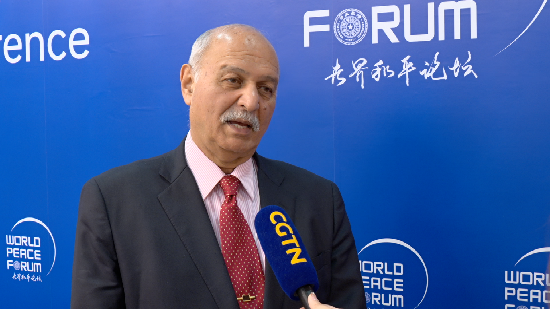 Former Pakistani minister: Middle powers play bigger peace role
