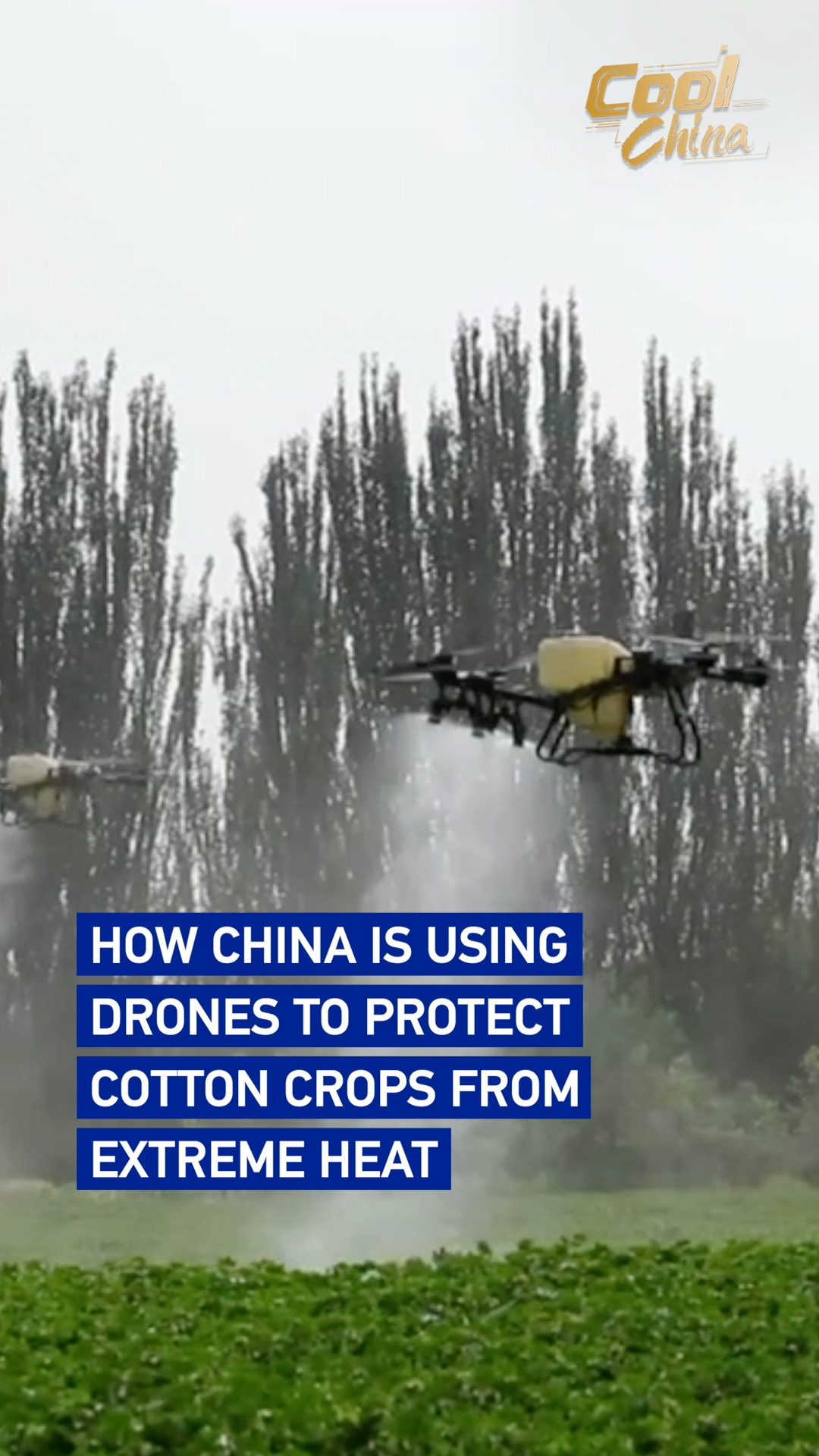 How China is using drones to protect cotton crops from extreme heat