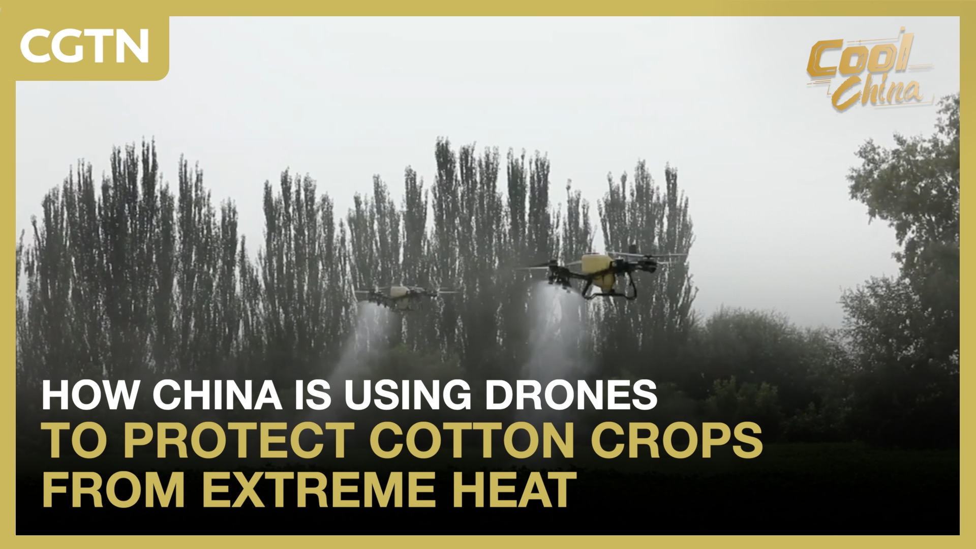 How China is using drones to protect cotton crops from extreme heat