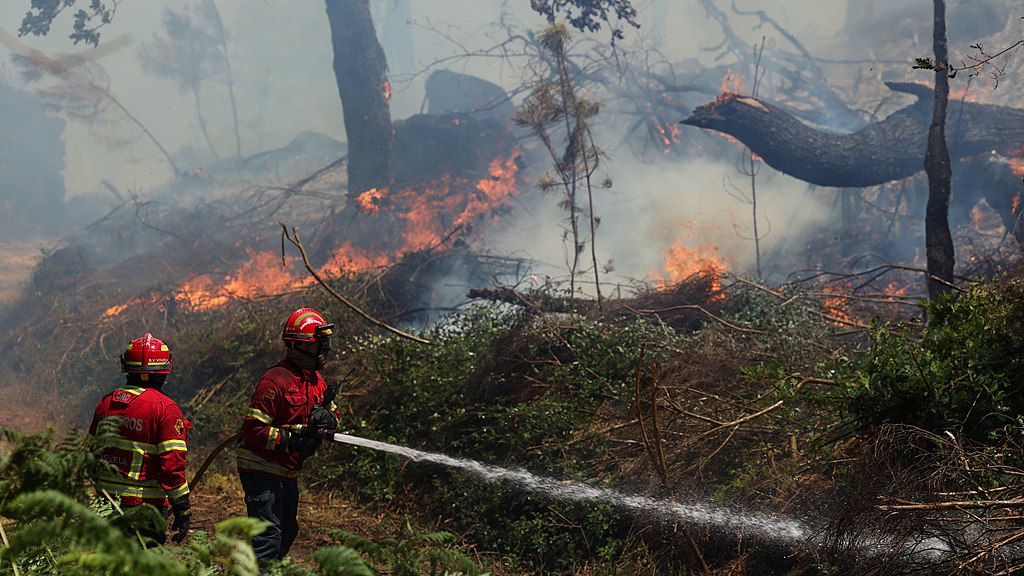 Firefighters work to extinguish a forest fire in Vouzela, Portugal, July 2, 2026. /VCG