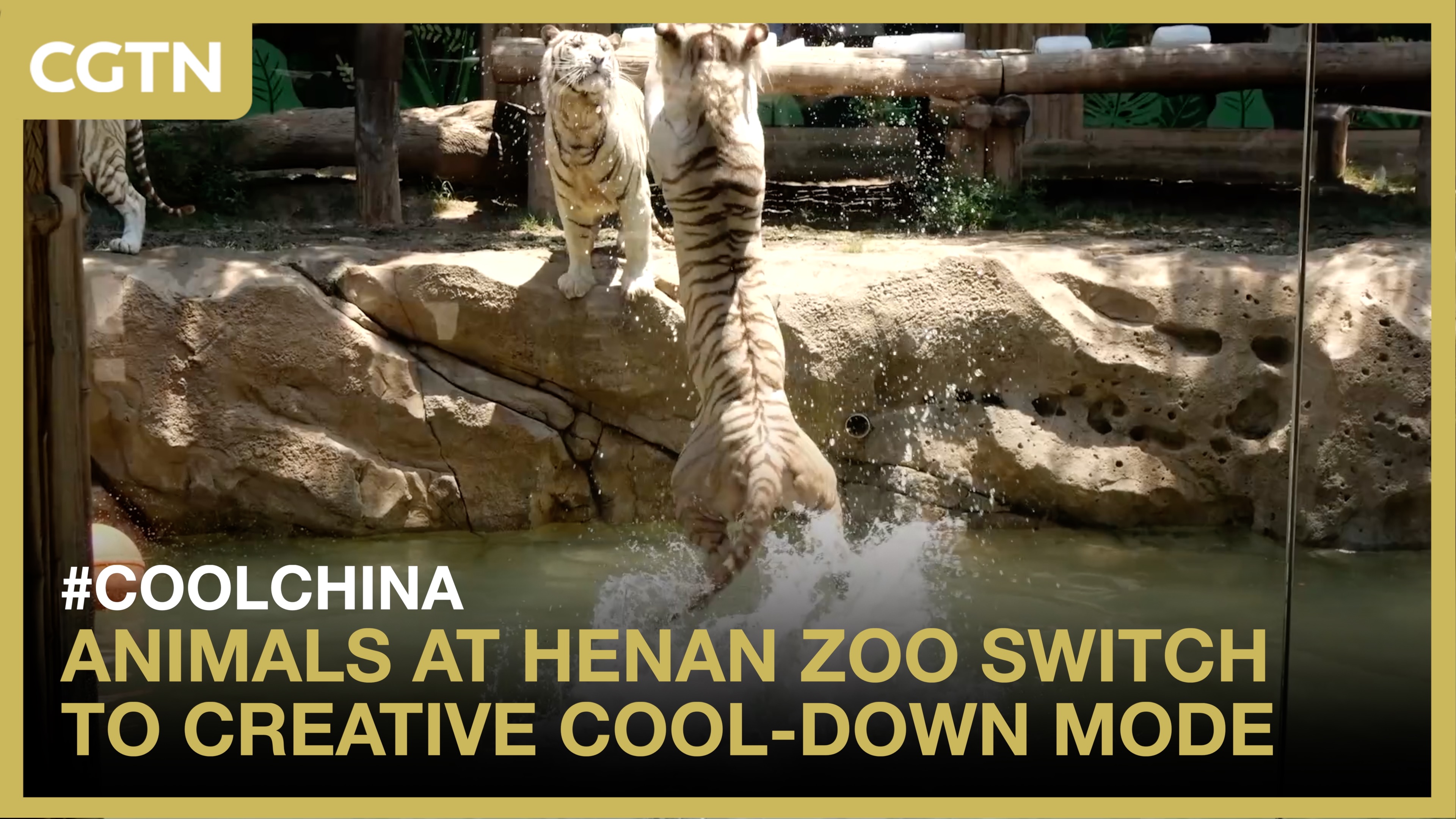 Animals at Henan zoo switch to creative cool-down mode