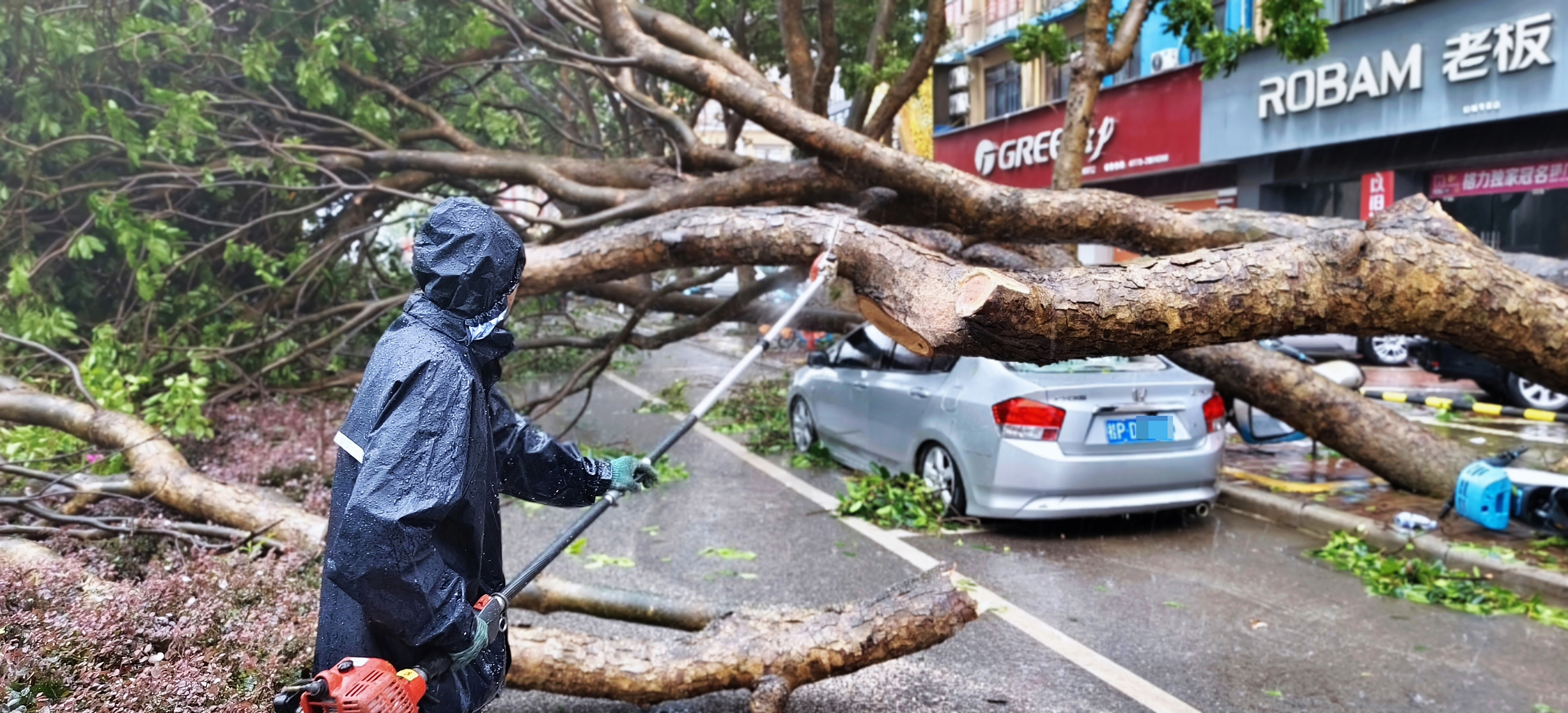 Workers clear trees felled by strong winds in Fangchenggang, south China's Guangxi Zhuang Autonomous Region, July 5, 2026. /VCG