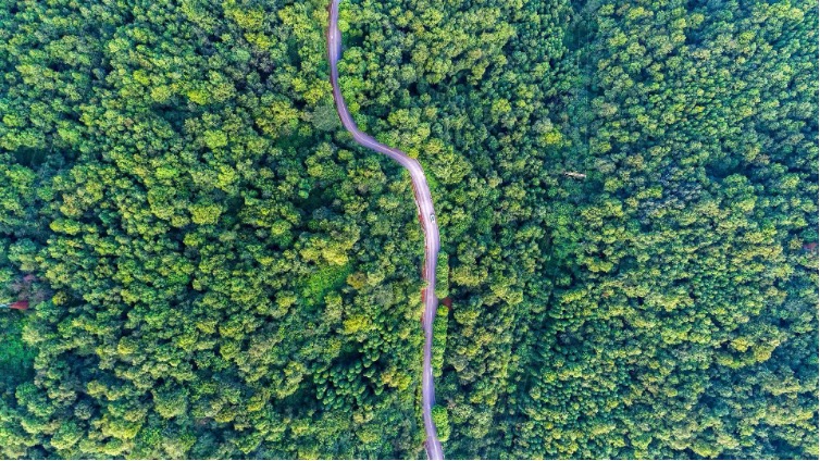 An aerial view of the Liangdu Provincial Forest Park in Zhongshan District, Liupanshui City, southwest China's Guizhou Province. /UpGuizhou