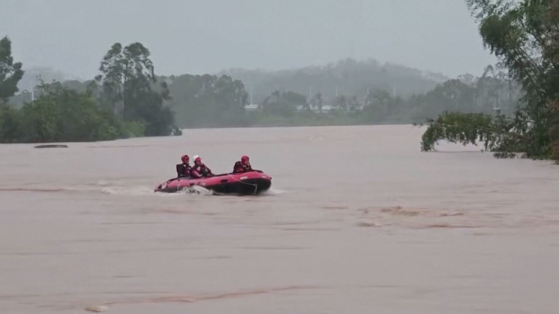 Hundreds of snakes escape flooded farm in south China's Guangxi