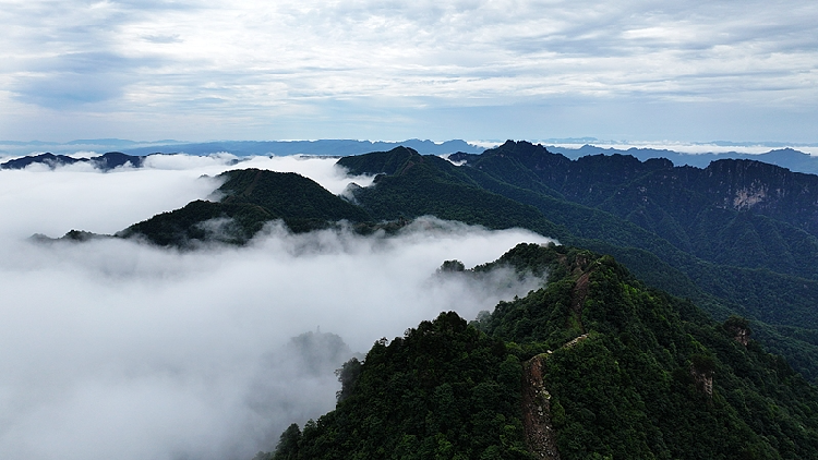 Live: China's wonderland of peaks and forests – Zhangjiajie