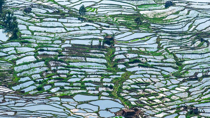 From shared water to shared opportunity