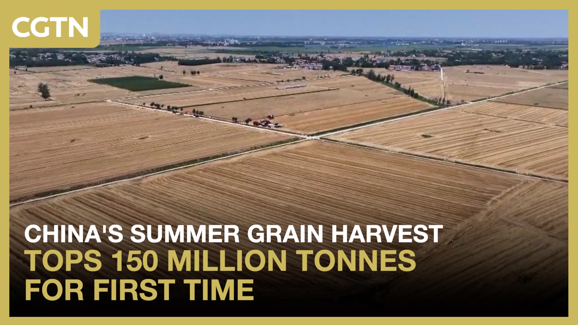 China's summer grain harvest tops 150 million tonnes for first time