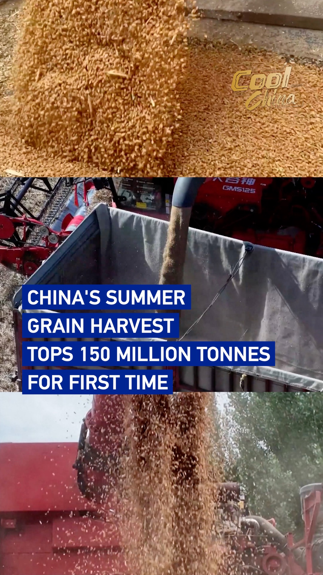 China's summer grain harvest tops 150 million tonnes for first time