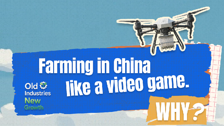 Why does farming in China increasingly feel like a video game?