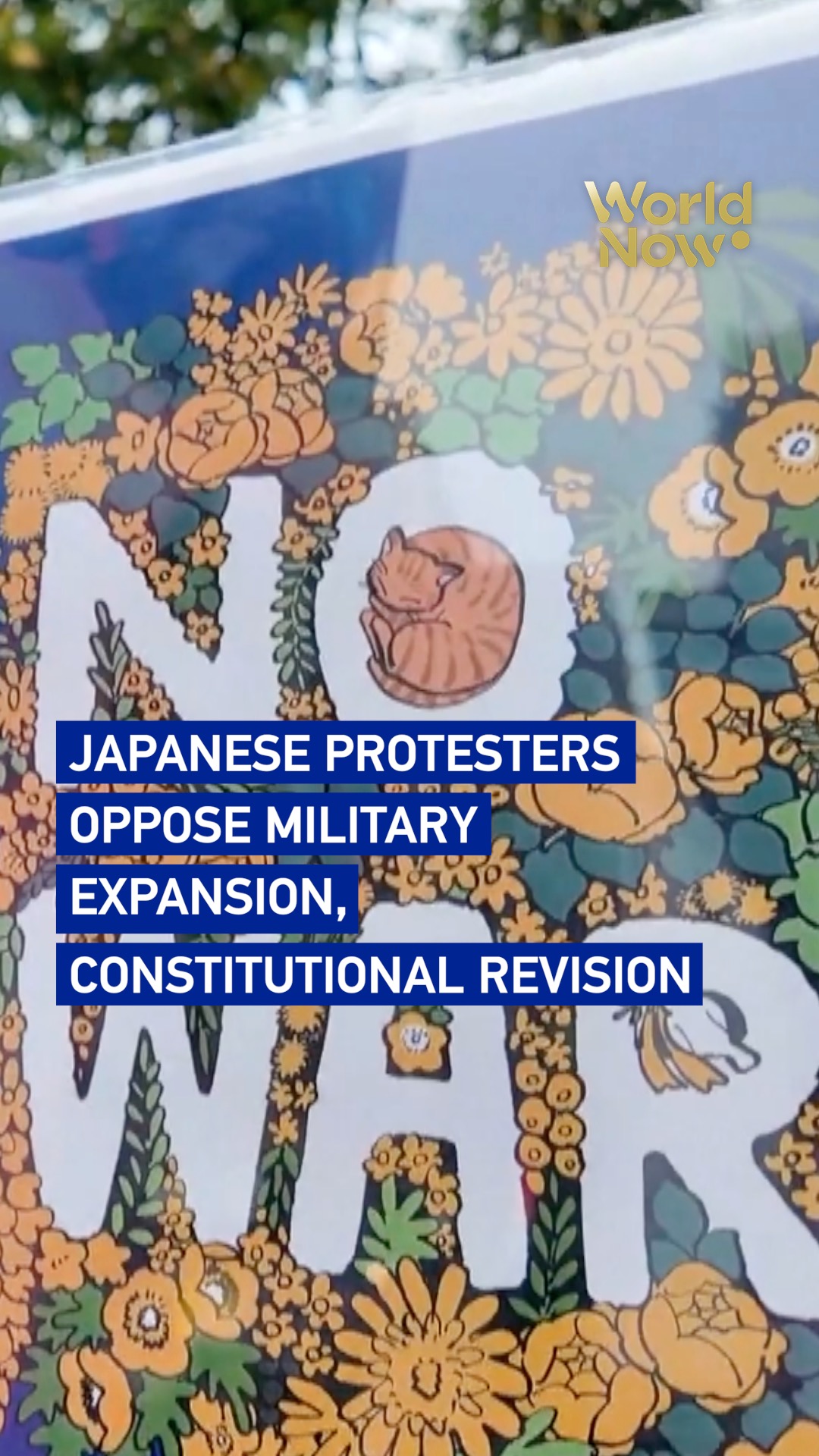 Japanese protesters oppose military expansion, constitutional revision