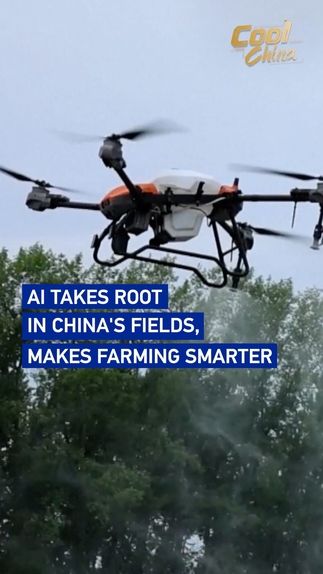 AI takes root in China's fields, makes farming smarter