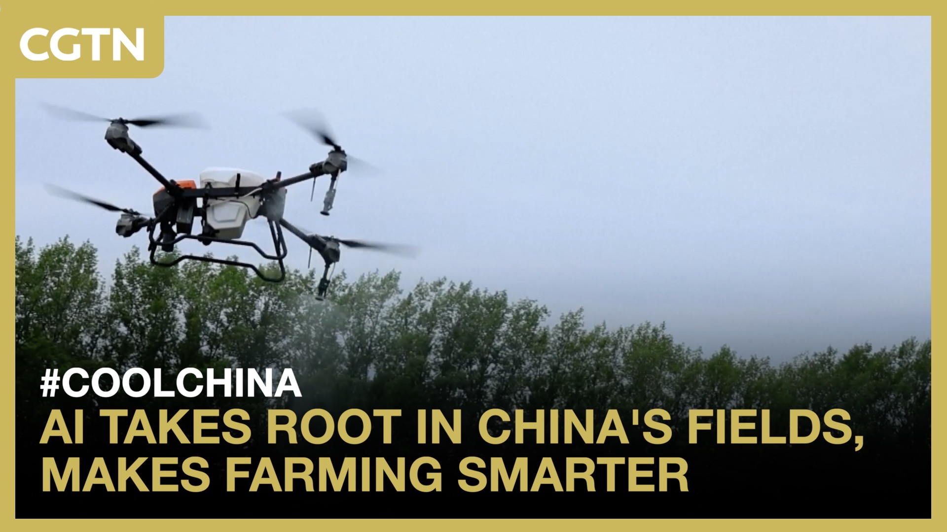 AI takes root in China's fields, makes farming smarter