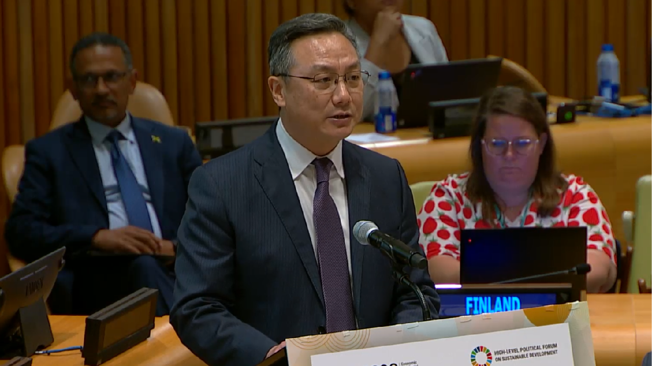 GDI Group of Friends reaffirms UN's role in development cooperation