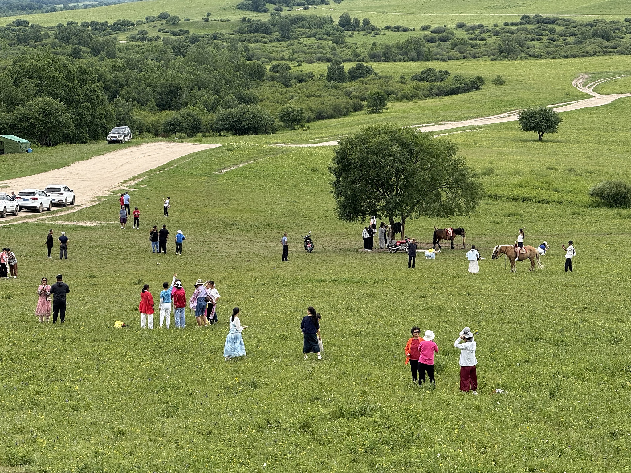 Travelers enjoy the landscape at the Saihanba National Forest Park, Chengde, north China's Hebei Province, July 12, 2025. /VCG