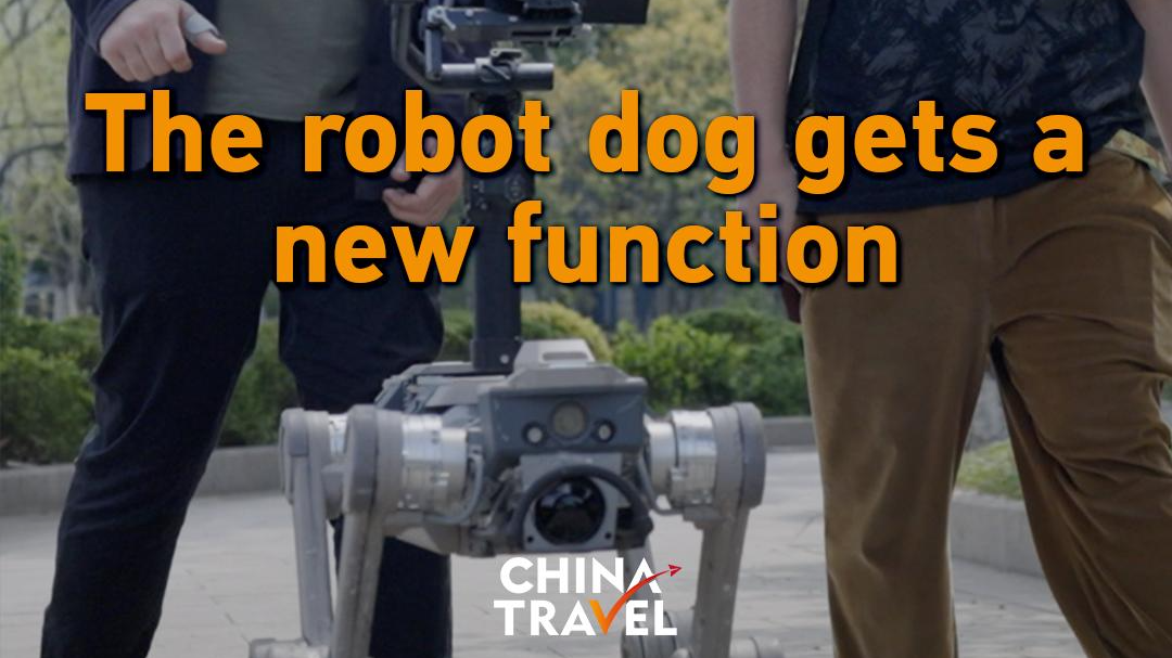 From ideas to action: The robot dog finds new functions