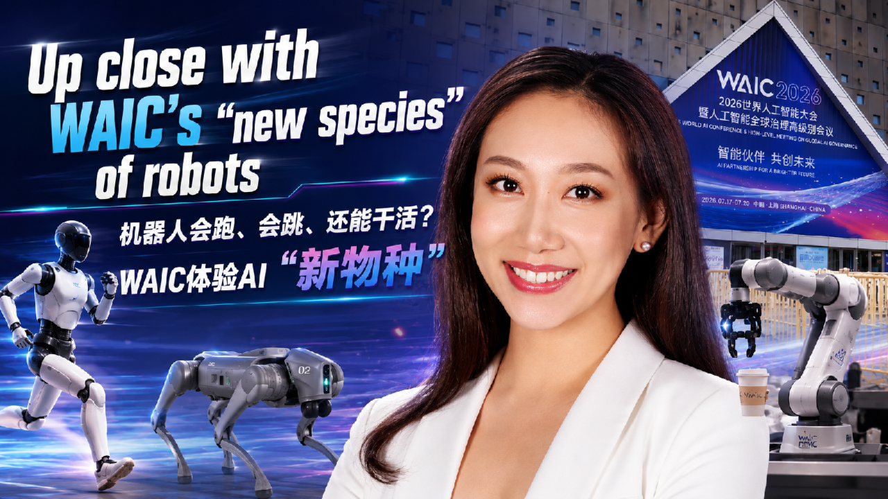 Live: Up close with WAIC's 'new species' of robots