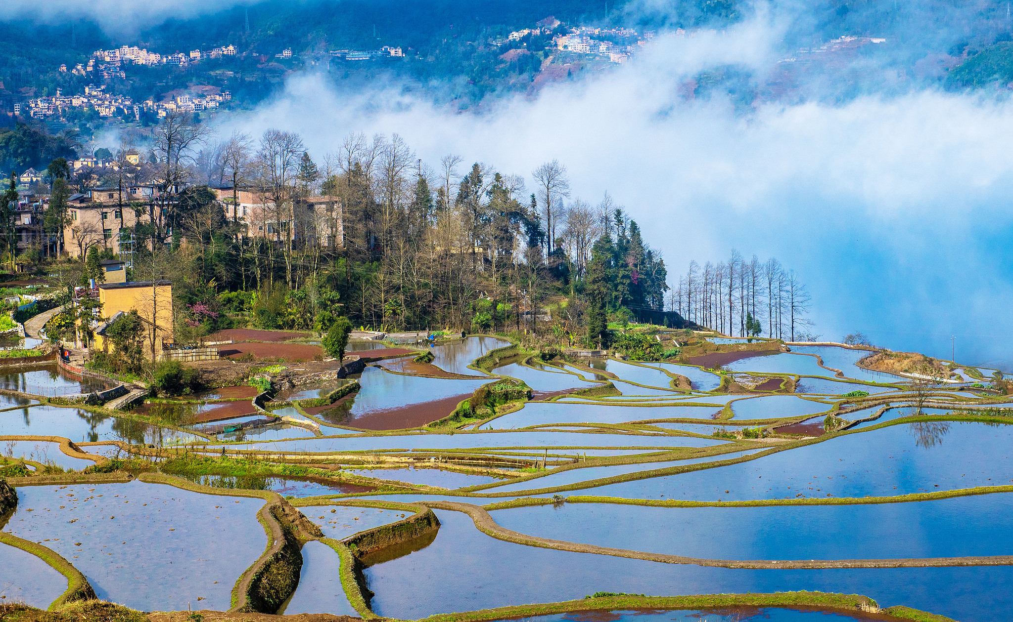 The Hani Rice Terraces in Yuanyang County glow in the sunlight, Yunnan Province, southwest China, February 25, 2025. /VCG