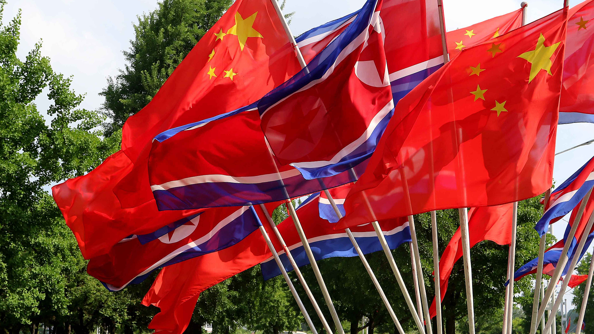 Wang Huning attends China-DPRK treaty's 65th anniversary reception
